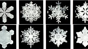 Eight snowflakes 